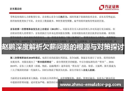 赵鹏深度解析欠薪问题的根源与对策探讨