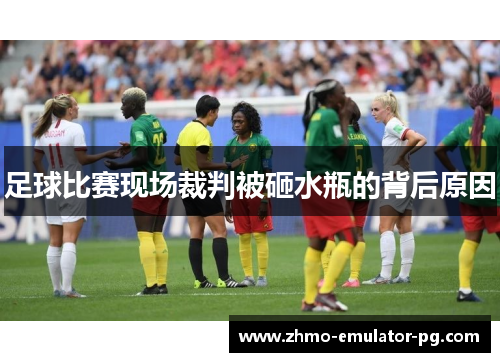 足球比赛现场裁判被砸水瓶的背后原因