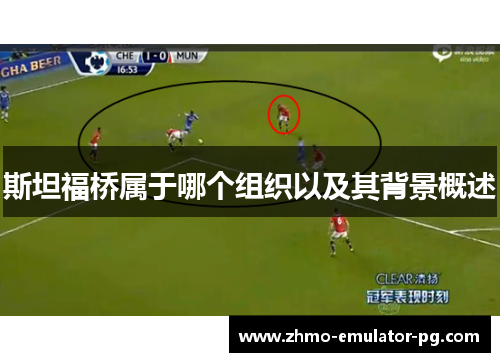 斯坦福桥属于哪个组织以及其背景概述