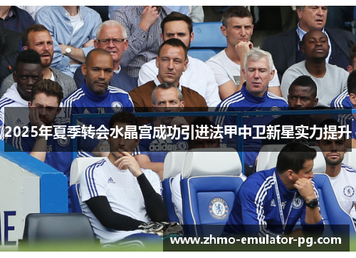 2025年夏季转会水晶宫成功引进法甲中卫新星实力提升