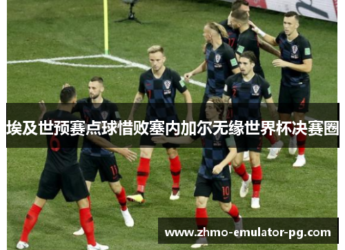 埃及世预赛点球惜败塞内加尔无缘世界杯决赛圈